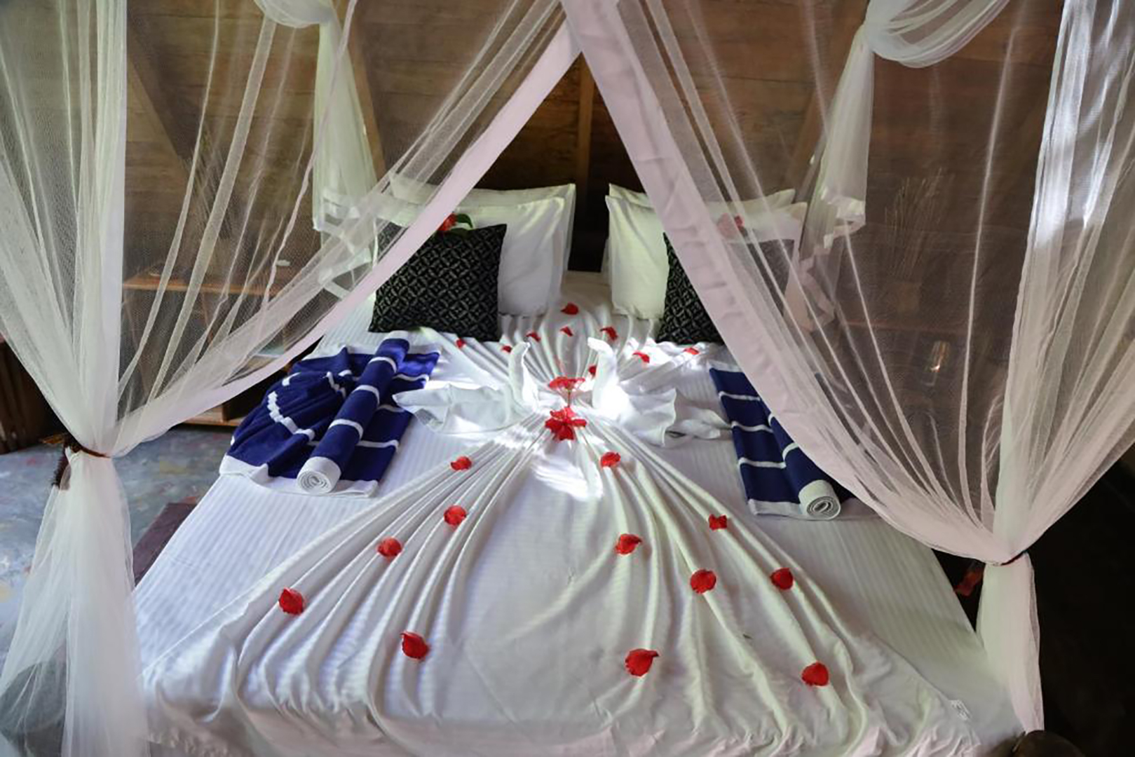 Creative Web Design Main